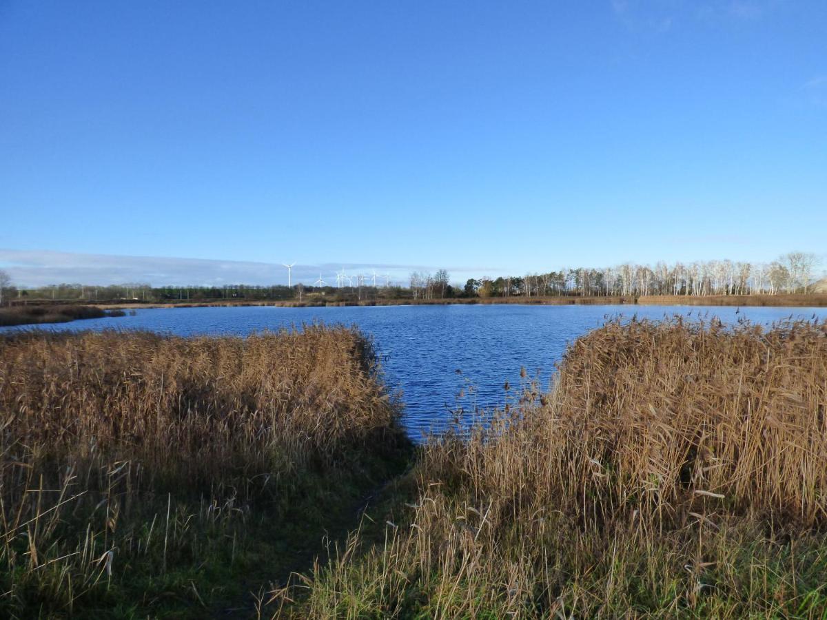 Uckermark "Ferienwohnung Sommerfugl " Passow  Exteriér fotografie