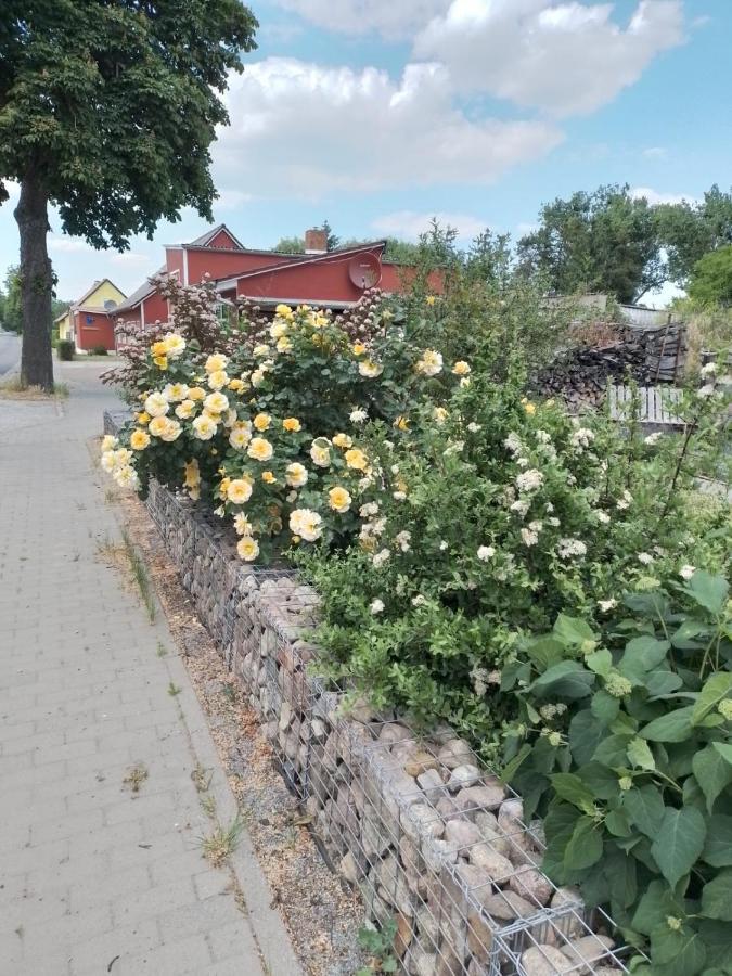 Uckermark "Ferienwohnung Sommerfugl " Passow  Exteriér fotografie